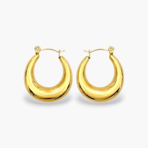 WhatsApp Image 2026-04-21 at 9.52.25 PM (2) Hailey Hoops Earrings