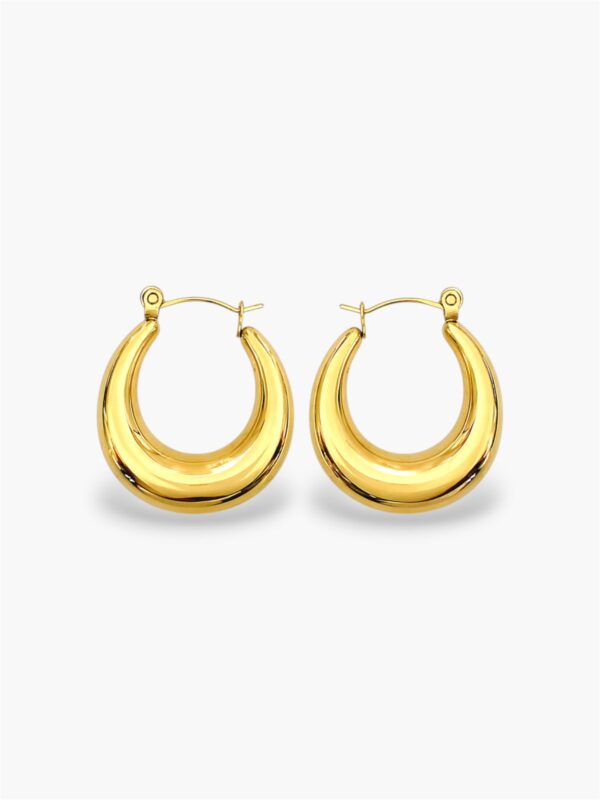 Hailey Hoops Earrings