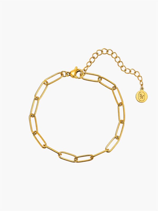 Paperclip Bracelet
