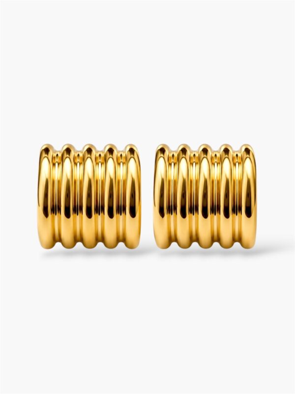 WhatsApp Image 2026-05-11 at 11.43.27 PM Santino Earings
